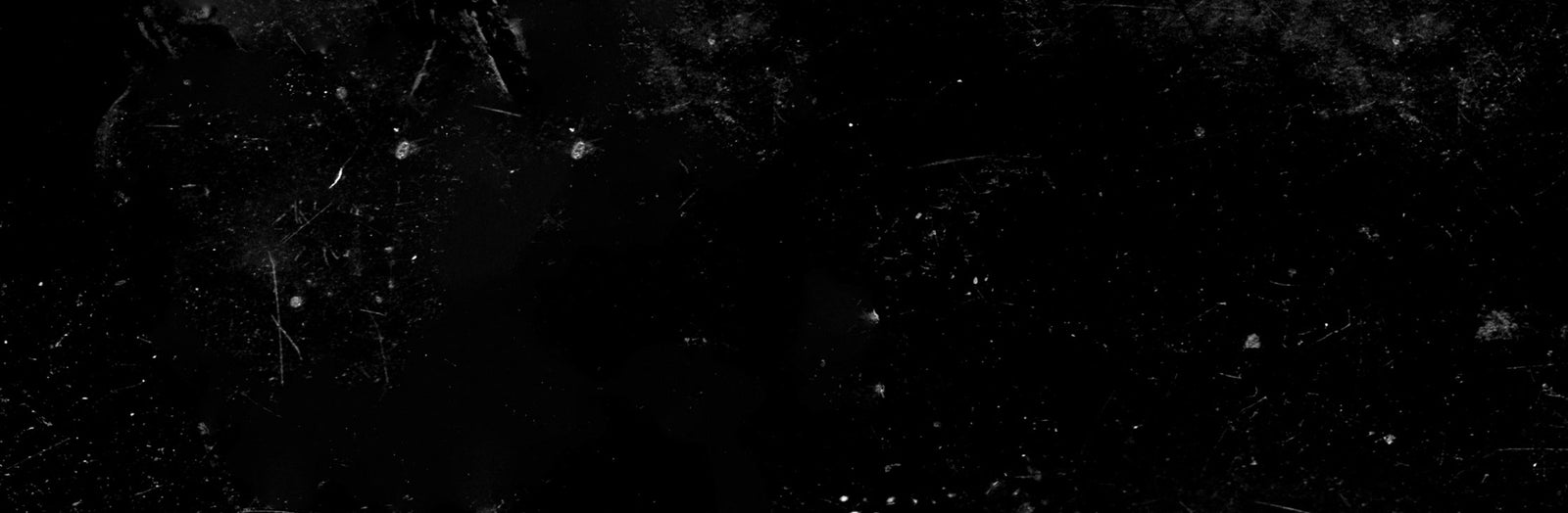 Recently Restocked Shirts