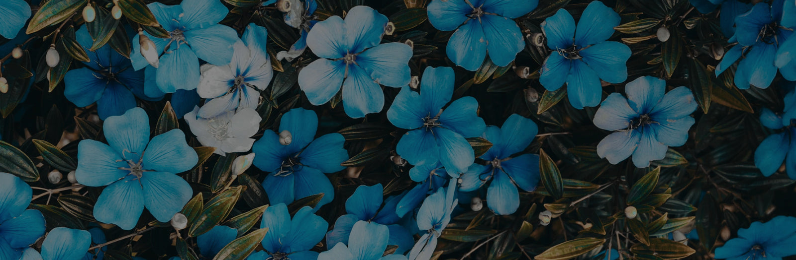 Spring Cleaning Eighty Sixed