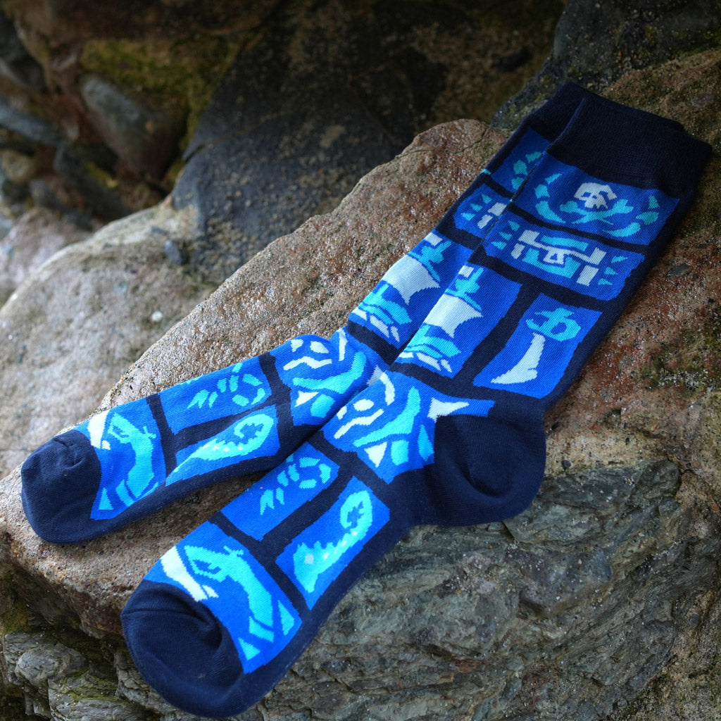 Voyager Socks