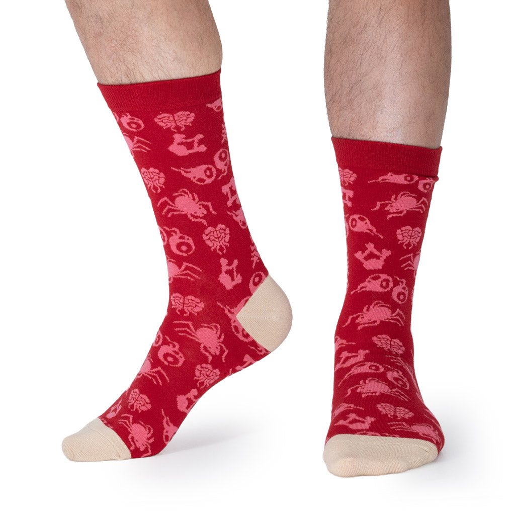 Crimson Biome Socks
