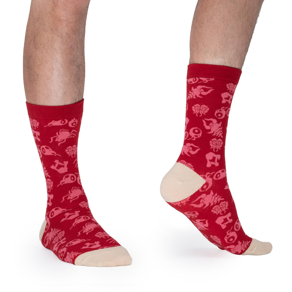 Crimson Biome Socks
